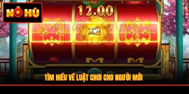 Tìm hiểu về luật chơi cho người mới
